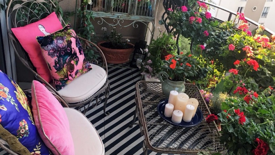 TALAS 2026’DA RENGARENK OLACAK; GÖRKEMLİ ÇİÇEK FESTİVALİ!