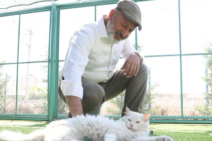 KÜÇÜK DOSTLAR KEDİ KASABASI’NDA REKOR ÜSTÜNE REKOR