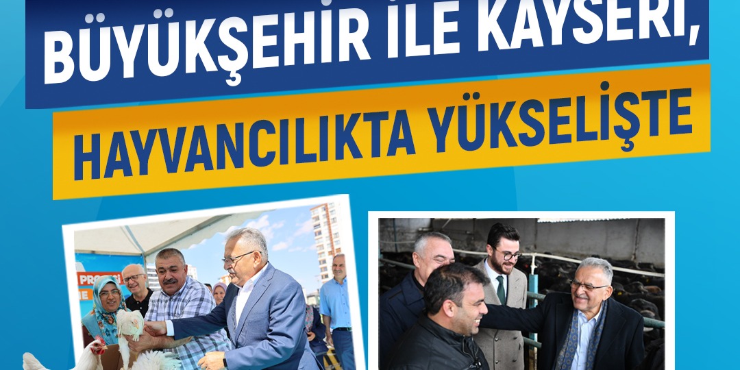 BÜYÜKŞEHİR İLE KAYSERİ, HAYVANCILIKTA YÜKSELİŞTE: KOYUN, ARI, MANDA, TAVUK…