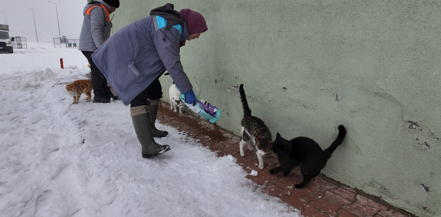 BÜYÜKŞEHİR’DEN “DİLSİZ DOSTLARA” MERHAMET ELİ: SOĞUK GÜNLERDE SICAK BİR DOKUNUŞ