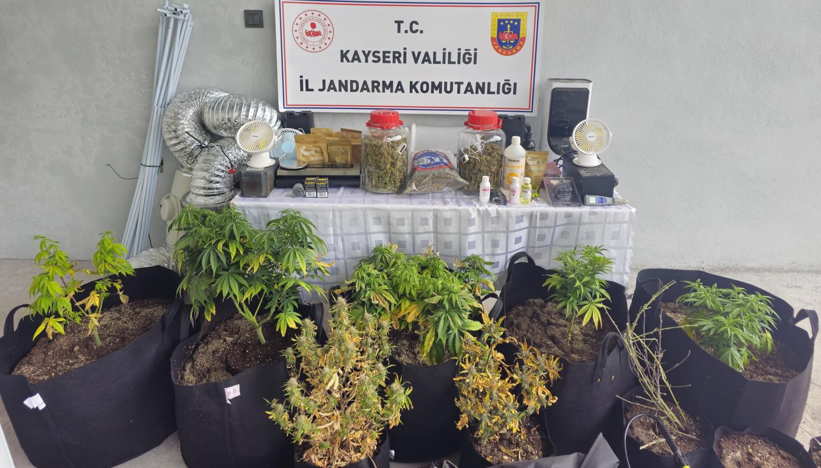 Kayseri'de uyuşturucu operasyonu: 1 gözaltı