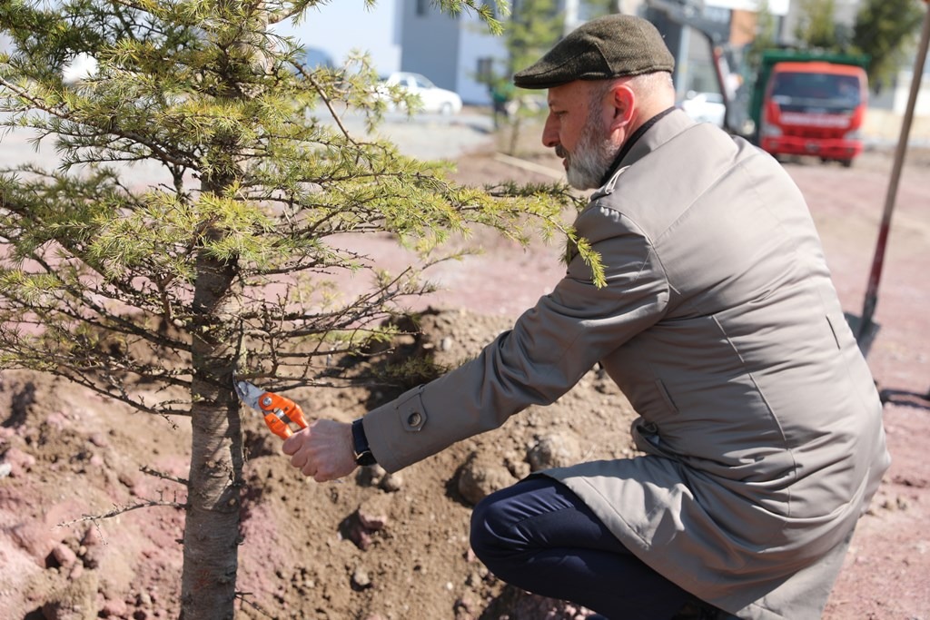 KOCASİNAN, AĞAÇ DİKİM SEZONUNU AÇTI