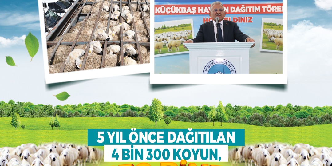 BAŞKAN BÜYÜKKILIÇ’TAN KIRSALA, KENDİ KENDİNİ BÜYÜTEN MODEL: 150 BİN KÜÇÜKBAŞ ARTIŞI