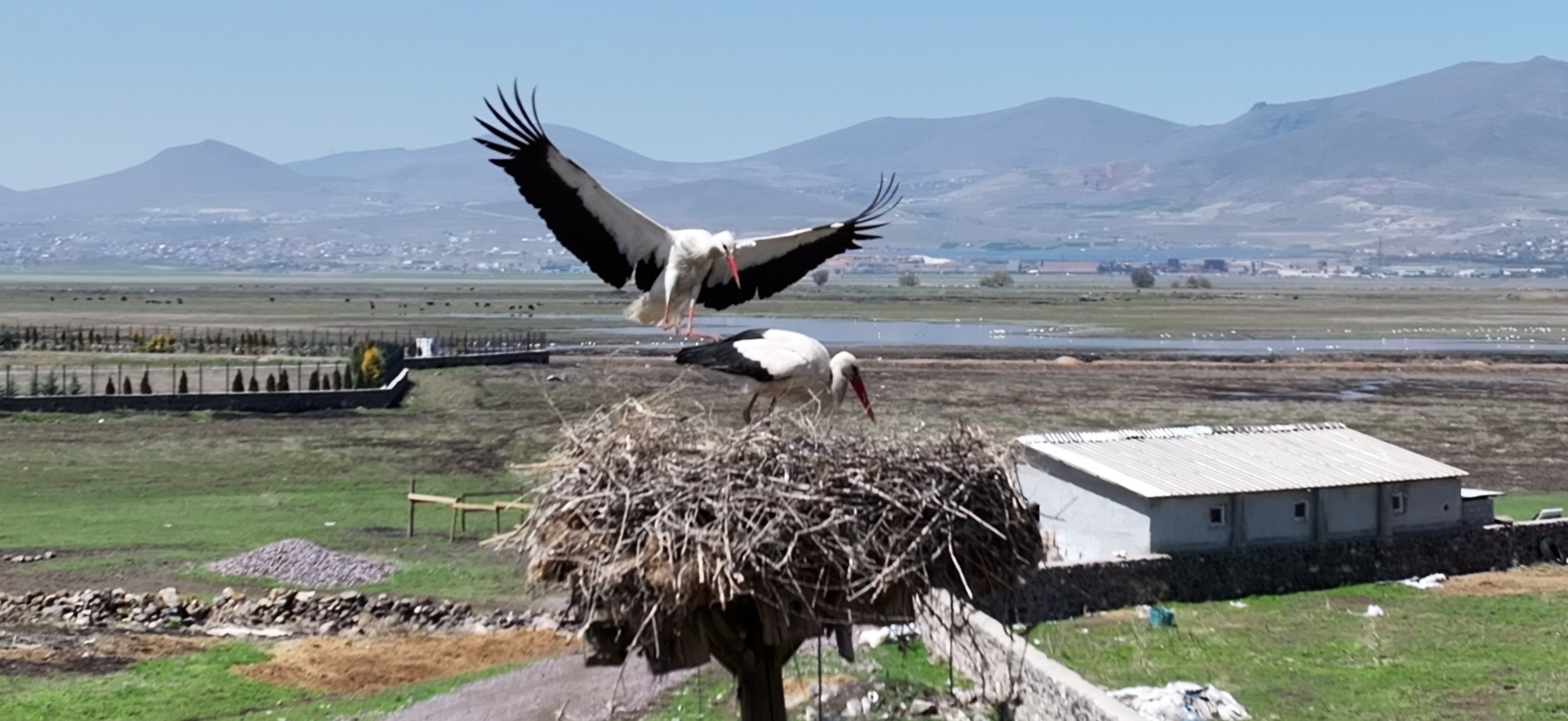 Doğanın uyanışı, Hürmetçi Sazlığı'nda sahneleniyor