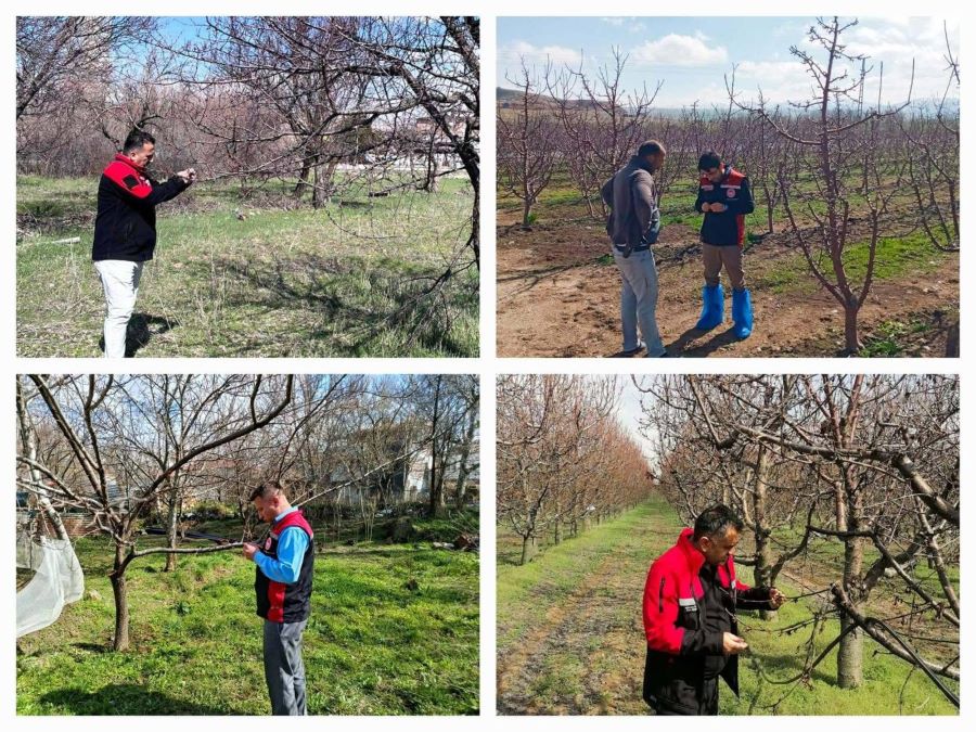 Tarım ve Orman İl Müdürlüğü’nden ‘zirai don’ açıklaması