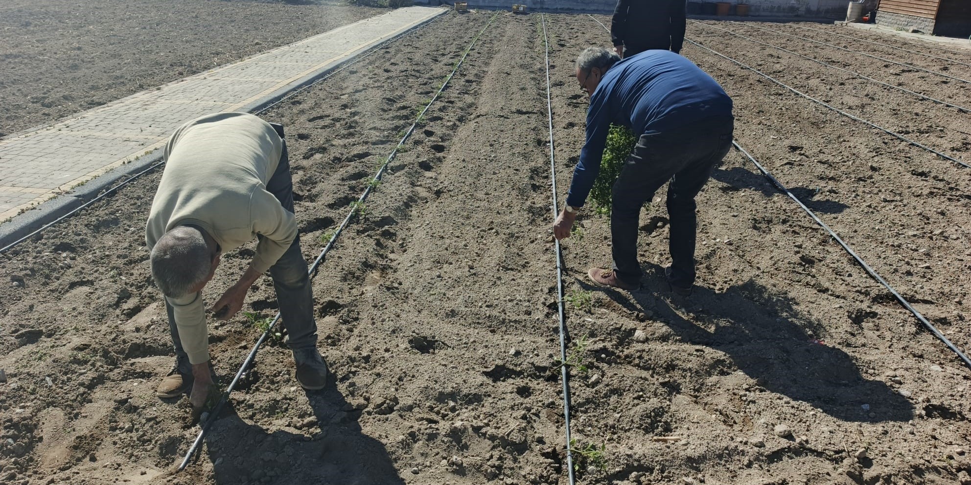 BÜYÜKŞEHİR’İN DOĞAL ÜRÜNLER BAHÇESİ VE PAZARI’NDA YENİ SEZON HAZIRLIĞI