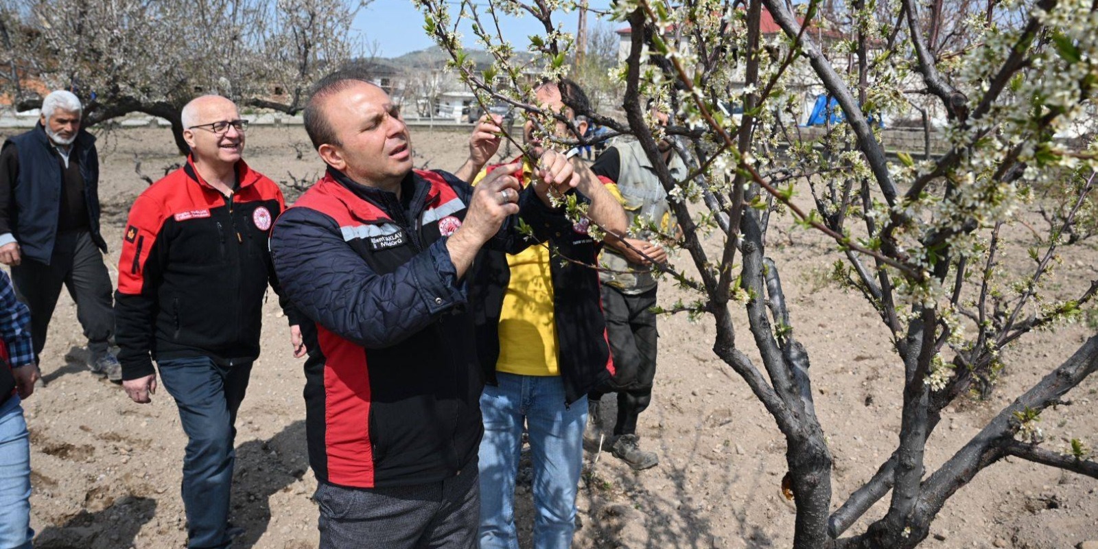 İl Müdürü Saklav’dan Hacılar’daki meyve ağaçlarında inceleme
