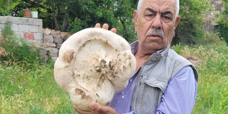 Kayseri’de 3 kilo 400 gram mantar buldu